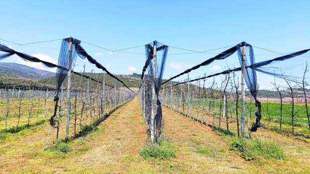 &Alpha;&nu;&tau;&iota;&chi;&alpha;&lambda;&alpha;&zeta;&iota;&kappa;ά &Delta;ί&kappa;&tau;&upsilon;&alpha;: &Alpha;&pi;&alpha;&nu;&tau;&eta;&tau;&iota;&kappa;ή &epsilon;&pi;&iota;&sigma;&tau;&omicron;&lambda;ή &Epsilon;&Lambda;&Gamma;&Alpha; &pi;&rho;&omicron;&sigmaf; &Epsilon;&Theta;&Epsilon;&Alpha;&Sigma;