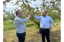 &Epsilon;&kappa;&tau;&epsilon;&tau;&alpha;&mu;έ&nu;&epsilon;&sigmaf; &zeta;&eta;&mu;&iota;έ&sigmaf; &sigma;&epsilon; &Beta;&epsilon;&rho;ί&kappa;&omicron;&kappa;&alpha; &kappa;&alpha;&iota; &Delta;&alpha;&mu;ά&sigma;&kappa;&eta;&nu;&alpha; &ndash; &Kappa;&alpha;&tau;ά&theta;&epsilon;&sigma;&eta; &Kappa;&omicron;&iota;&nu;&omicron;&beta;&omicron;&upsilon;&lambda;&epsilon;&upsilon;&tau;&iota;&kappa;ή&sigmaf; &Epsilon;&rho;ώ&tau;&eta;&sigma;&eta;&sigmaf; &Beta;&alpha;&sigma;&iota;&lambda;&epsilon;&iota;ά&delta;&eta; &pi;&rho;&omicron;&sigmaf; &tau;&omicron;&nu; &Upsilon;&pi;&Alpha;&Alpha;&Tau;