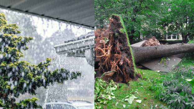 &Epsilon;&pi;&iota;&delta;&epsilon;ί&nu;&omega;&sigma;&eta; &tau;&omicron;&upsilon; &kappa;&alpha;&iota;&rho;&omicron;ύ: Έ&rho;&chi;&omicron;&nu;&tau;&alpha;&iota; &iota;&sigma;&chi;&upsilon;&rho;έ&sigmaf; &beta;&rho;&omicron;&chi;έ&sigmaf; &kappa;&alpha;&iota; &kappa;&alpha;&tau;&alpha;&iota;&gamma;ί&delta;&epsilon;&sigmaf; - &Omicron;&delta;&eta;&gamma;ί&epsilon;&sigmaf; &pi;&rho;&omicron;&sigmaf; &tau;&omicron;&upsilon;&sigmaf; &pi;&omicron;&lambda;ί&tau;&epsilon;&sigmaf;