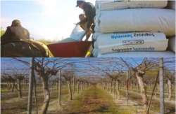 &Omicron; &nu;&iota;&kappa;&eta;&tau;ή&sigmaf; &tau;&omicron;&upsilon; &delta;&iota;&alpha;&gamma;&omega;&nu;&iota;&sigma;&mu;&omicron;ύ &gamma;&iota;&alpha; 1000kg &Theta;&rho;&alpha;&kappa;&iota;&kappa;&omicron;ύ &Zeta;&epsilon;ό&lambda;&iota;&theta;&omicron;&upsilon;