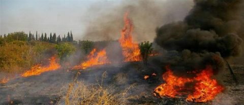 &Sigma;&tau;&omicron; &pi;&rho;&omicron;&sigma;&kappa;ή&nu;&iota;&omicron; &omicron;&iota; &mu;&epsilon;&gamma;ά&lambda;&epsilon;&sigmaf; &pi;&omicron;&iota;&nu;έ&sigmaf; &gamma;&iota;&alpha; &alpha;&gamma;&rho;ό&tau;&epsilon;&sigmaf; - &Alpha;&upsilon;&xi;ή&theta;&eta;&kappa;&alpha;&nu; &omicron;&iota; &phi;&omega;&tau;&iota;έ&sigmaf; &sigma;&tau;&iota;&sigmaf; &sigma;&iota;&tau;&omicron;&kappa;&alpha;&lambda;&alpha;&mu;&iota;έ&sigmaf; &tau;&omicron; &tau;&epsilon;&lambda;&epsilon;&upsilon;&tau;&alpha;ί&omicron; &delta;&iota;ά&sigma;&tau;&eta;&mu;&alpha;