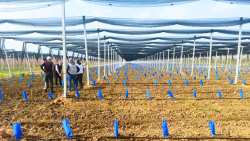 &Nu;έ&alpha; &pi;&omicron;&iota;&kappa;&iota;&lambda;ί&alpha; &alpha;&chi;&lambda;&alpha;&delta;&iota;&omicron;ύ - &Delta;&epsilon;&sigmaf; &gamma;&iota;&alpha;&tau;ί &tau;&eta;&nu; &epsilon;&pi;&iota;&lambda;έ&gamma;&omicron;&upsilon;&nu; &omicron;&iota; &pi;&alpha;&rho;&alpha;&gamma;&omega;&gamma;&omicron;ί!