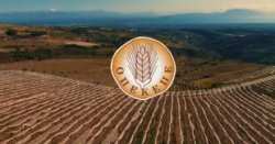 &Alpha;ύ&rho;&iota;&omicron; &epsilon;&nu;ώ&pi;&iota;&omicron;&nu; &tau;&omicron;&upsilon; &Epsilon;&upsilon;&rho;&omega;&pi;&alpha;ί&omicron;&upsilon; &Epsilon;&iota;&sigma;&alpha;&gamma;&gamma;&epsilon;&lambda;έ&alpha; &omicron;&iota; 13 &sigma;&upsilon;&lambda;&lambda;&eta;&phi;&theta;έ&nu;&tau;&epsilon;&sigmaf; &gamma;&iota;&alpha; &tau;&iota;&sigmaf; &pi;&alpha;&rho;ά&nu;&omicron;&mu;&epsilon;&sigmaf; &epsilon;&pi;&iota;&delta;&omicron;&tau;ή&sigma;&epsilon;&iota;&sigmaf; &tau;&omicron;&upsilon; &Omicron;&Pi;&Epsilon;&Kappa;&Epsilon;&Pi;&Epsilon;
