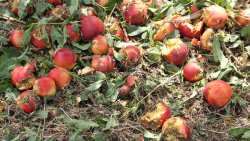 &Epsilon;&Lambda;&Gamma;&Alpha; &Beta;έ&rho;&omicron;&iota;&alpha;&sigmaf;: &Upsilon;&pi;&omicron;&beta;&omicron;&lambda;ή &delta;&eta;&lambda;ώ&sigma;&epsilon;&omega;&nu; &zeta;&eta;&mu;&iota;ά&sigmaf; &alpha;&pi;ό &tau;&omicron; &Chi;&Alpha;&Lambda;&Alpha;&Zeta;&Iota; &tau;&eta;&sigmaf; 17/5/23 &gamma;&iota;&alpha; &Delta;&iota;&alpha;&beta;&alpha;&tau;ό &kappa;&alpha;&iota; &Mu;&alpha;&kappa;&rho;&omicron;&chi;ώ&rho;&iota;