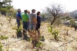 &Epsilon;&nu;&tau;ά&sigma;&epsilon;&iota;&sigmaf; &mu;&epsilon;&tau;&alpha;&xi;ύ &alpha;&gamma;&rho;&omicron;&tau;ώ&nu; &kappa;&alpha;&iota; &kappa;&tau;&eta;&nu;&omicron;&tau;&rho;ό&phi;&omega;&nu; &sigma;&tau;&alpha; &beta;&omicron;&upsilon;&nu;ά &tau;&eta;&sigmaf; &Kappa;&rho;ή&tau;&eta;&sigmaf;