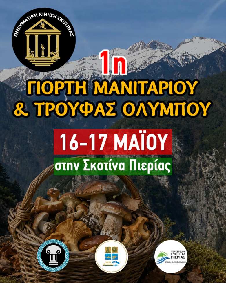 1&eta; &Gamma;&Iota;&Omicron;&Rho;&Tau;&Eta; &Mu;&Alpha;&Nu;&Iota;&Tau;&Alpha;&Rho;&Iota;&Omicron;&Upsilon; &amp; &Tau;&Rho;&Omicron;&Upsilon;&Phi;&Alpha;&Sigma; &Omicron;&Lambda;&Upsilon;&Mu;&Pi;&Omicron;&Upsilon;