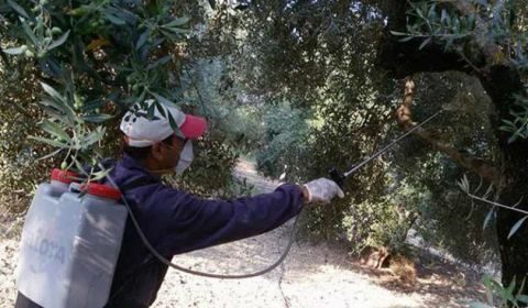 &Psi;&Epsilon;&Kappa;&Alpha;&Sigma;&Mu;&Omicron;&Iota; &Delta;&Alpha;&Kappa;&Omicron;&Kappa;&Tau;&Omicron;&Nu;&Iota;&Alpha;&Sigma;