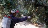 &Psi;&Epsilon;&Kappa;&Alpha;&Sigma;&Mu;&Omicron;&Iota; &Delta;&Alpha;&Kappa;&Omicron;&Kappa;&Tau;&Omicron;&Nu;&Iota;&Alpha;&Sigma;