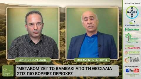 &Omicron; &Mu;&omicron;&chi;ά&mu;&epsilon;&nu;&tau; &Nu;&tau;&alpha;&rho;ά&omicron;&upsilon;&sigma;&epsilon; &mu;&iota;&lambda;ά &gamma;&iota;&alpha; &tau;&omicron; &epsilon;&lambda;&lambda;&eta;&nu;&iota;&kappa;ό &Beta;&alpha;&mu;&beta;ά&kappa;&iota; &sigma;&tau;&eta;&nu; &ldquo;&Epsilon;&lambda;&lambda;&eta;&nu;&iota;&kappa;ή &Pi;&alpha;&rho;&alpha;&gamma;&omega;&gamma;ή&rdquo; web-tv