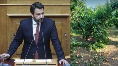&Omicron; &Tau;ά&sigma;&omicron;&sigmaf; &Mu;&pi;&alpha;&rho;&tau;&zeta;ώ&kappa;&alpha;&sigmaf; &phi;έ&rho;&nu;&epsilon;&iota; &sigma;&tau;&eta; &Beta;&omicron;&upsilon;&lambda;ή &tau;&iota;&sigmaf; &zeta;&eta;&mu;&iota;έ&sigmaf; &tau;&omega;&nu; &alpha;&gamma;&rho;&omicron;&tau;ώ&nu; &tau;&eta;&sigmaf; &Eta;&mu;&alpha;&theta;ί&alpha;&sigmaf; &alpha;&pi;ό &tau;&eta;&nu; &pi;&rho;ό&sigma;&phi;&alpha;&tau;&eta; &alpha;&nu;&epsilon;&mu;&omicron;&theta;ύ&epsilon;&lambda;&lambda;&alpha;