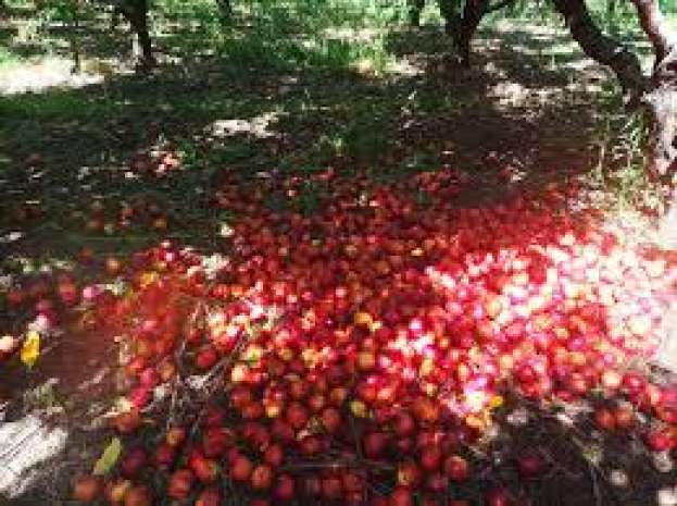 &Theta;. &Tau;&zeta;ά&kappa;&rho;&eta; : &Alpha;&pi;&alpha;&iota;&tau;&omicron;ύ&nu;&tau;&alpha;&iota; ά&mu;&epsilon;&sigma;&epsilon;&sigmaf; &lambda;ύ&sigma;&epsilon;&iota;&sigmaf; &sigma;&tau;&alpha; &pi;&rho;&omicron;&beta;&lambda;ή&mu;&alpha;&tau;&alpha; &pi;&omicron;&upsilon; &alpha;&nu;&tau;&iota;&mu;&epsilon;&tau;&omega;&pi;ί&zeta;&omicron;&upsilon;&nu; &kappa;&alpha;&iota; &alpha;&upsilon;&tau;ή &tau;&eta; &chi;&rho;&omicron;&nu;&iota;ά &omicron;&iota; &rho;&omicron;&delta;&alpha;&kappa;&iota;&nu;&omicron;&pi;&alpha;&rho;&alpha;&gamma;&omega;&gamma;&omicron;ί