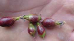 &Pi;&rho;ώ&tau;&epsilon;&sigmaf; &beta;&omicron;ή&theta;&epsilon;&iota;&epsilon;&sigmaf; &mu;&epsilon;&tau;ά &alpha;&pi;ό &zeta;&eta;&mu;&iota;έ&sigmaf; &pi;&omicron;&upsilon; &pi;&rho;&omicron;&kappa;&alpha;&lambda;&epsilon;ί &eta; &chi;&alpha;&lambda;&alpha;&zeta;ό&pi;&tau;&omega;&sigma;&eta;