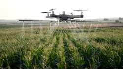 &Epsilon;&kappa;&tau;&iota;&mu;ή&sigma;&epsilon;&iota;&sigmaf; &gamma;&iota;&alpha; &tau;&omicron;&nu; &epsilon;&nu;&tau;&omicron;&mu;&omicron;&lambda;&omicron;&gamma;&iota;&kappa;ό &kappa;ί&nu;&delta;&upsilon;&nu;&omicron; - &Tau;&alpha; &delta;&epsilon;&delta;&omicron;&mu;έ&nu;&alpha; &sigma;&tau;&eta; &gamma;&epsilon;&omega;&rho;&gamma;ί&alpha; &kappa;&alpha;&iota; &eta; &sigma;&eta;&mu;&alpha;&sigma;ί&alpha; &tau;&omicron;&upsilon;&sigmaf;