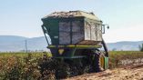 355 &kappa;&iota;&lambda;ά &tau;&omicron; &sigma;&tau;&rho;έ&mu;&mu;&alpha; &eta; &mu;έ&sigma;&eta; &alpha;&pi;ό&delta;&omicron;&sigma;&eta; &beta;&alpha;&mu;&beta;&alpha;&kappa;&iota;&omicron;ύ &sigma;&tau;&omicron; &Nu;. &Lambda;ά&rho;&iota;&sigma;&alpha;&sigmaf;