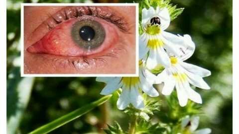 &Tau;&omicron; &beta;ό&tau;&alpha;&nu;&omicron; &pi;&omicron;&upsilon; &beta;&epsilon;&lambda;&tau;&iota;ώ&nu;&epsilon;&iota; &tau;&eta;&nu; ό&rho;&alpha;&sigma;&eta; &alpha;&kappa;ό&mu;&alpha; &kappa;&alpha;&iota; &sigma;&epsilon; ά&tau;&omicron;&mu;&alpha; ά&nu;&omega; &tau;&omega;&nu; 70 &epsilon;&tau;ώ&nu;