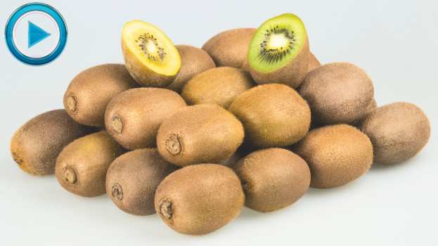 &Tau;&alpha; &pi;&rho;&omicron;&beta;&lambda;ή&mu;&alpha;&tau;&alpha; &kappa;&alpha;&iota; &tau;&omicron; &mu;έ&lambda;&lambda;&omicron;&nu; &tau;&eta;&sigmaf; &kappa;&alpha;&lambda;&lambda;&iota;έ&rho;&gamma;&epsilon;&iota;&alpha;&sigmaf; &alpha;&kappa;&tau;&iota;&nu;&iota;&delta;ί&omicron;&upsilon; - &Pi;&omicron;&iota;&epsilon;&sigmaf; &omicron;&iota; &lambda;ύ&sigma;&epsilon;&iota;&sigmaf; &phi;&upsilon;&tau;&omicron;&pi;&rho;&omicron;&sigma;&tau;&alpha;&sigma;ί&alpha;&sigmaf; (&Beta;ί&nu;&tau;&epsilon;&omicron;)