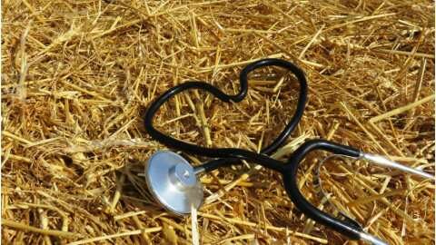 &Epsilon;&rho;ώ&tau;&eta;&sigma;&eta; &Beta;&alpha;&sigma;ί&lambda;&eta; &Kappa;&omicron;&tau;ί&delta;&eta; &pi;&rho;&omicron;&sigmaf; &tau;&omicron;&nu; &Kappa;ώ&sigma;&tau;&alpha; &Tau;&sigma;&iota;ά&rho;&alpha;