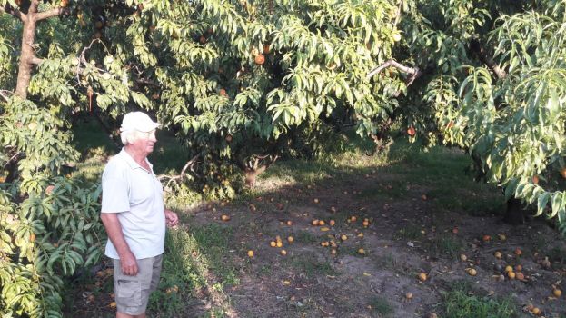 &Delta;&epsilon;ί&tau;&epsilon; &tau;&iota;&sigmaf; &pi;&omicron;&iota;&kappa;&iota;&lambda;ί&epsilon;&sigmaf; &pi;&omicron;&upsilon; &alpha;&pi;&omicron;&zeta;&eta;&mu;&iota;ώ&nu;&omicron;&nu;&tau;&alpha;&iota; &alpha;&pi;ό &tau;&iota;&sigmaf; &beta;&rho;&omicron;&chi;&omicron;&pi;&tau;ώ&sigma;&epsilon;&iota;&sigmaf; &tau;&omicron;&upsilon; &Iota;&omicron;&upsilon;&lambda;ί&omicron;&upsilon;