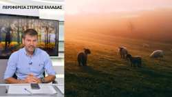 &Epsilon;&tau;ή&sigma;&iota;&omicron; &Alpha;&nu;&tau;&alpha;&pi;&omicron;&delta;&omicron;&tau;&iota;&kappa;ό &Tau;έ&lambda;&omicron;&sigmaf; &Kappa;&tau;&eta;&nu;&omicron;&tau;&rho;ό&phi;&omega;&nu; &gamma;&iota;&alpha; &tau;&omicron; &Pi;&rho;ό&gamma;&rho;&alpha;&mu;&mu;&alpha; &Nu;&epsilon;&kappa;&rho;ώ&nu; &Zeta;ώ&omega;&nu;