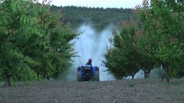 &Delta;&iota;&alpha;&sigma;&upsilon;&sigma;&tau;&eta;&mu;&alpha;&tau;&iota;&kappa;ά &epsilon;&nu;&tau;&omicron;&mu;&omicron;&kappa;&tau;ό&nu;&alpha;/&mu;&upsilon;&kappa;&eta;&tau;&omicron;&kappa;&tau;ό&nu;&alpha;: &Tau;&iota; &epsilon;ί&nu;&alpha;&iota; &kappa;&alpha;&iota; &pi;ώ&sigmaf; &epsilon;&phi;&alpha;&rho;&mu;ό&zeta;&omicron;&nu;&tau;&alpha;&iota;;