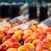 Στη φυλακή ο μεσάζων για το «κανόνι» στον συνεταιρισμό της Μέσης Ημαθίας -  Αθώοι άλλοι 8 κατηγορούμενοι