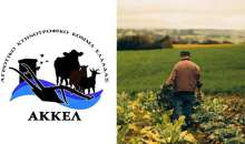 ΑΚΚΕΛ: Η Ελλάδα χάνει τους αγρότες της, η εγκατάλειψη του πρωτογενούς τομέα επιταχύνεται