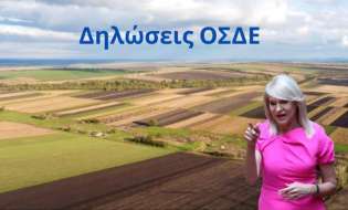 Τζάκρη: «Δηλωσεις ΟΣΔΕ 2026: Καθυστερημένη έναρξη, ασφυκτικές προθεσμίες και καθυστερημένες πληρωμές – η κυβέρνηση άργησε και ο αγρότης καλείται να τρέξει για να προλάβει»