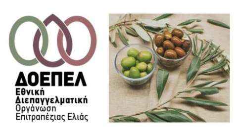 Δύο κρίσιμα ζητήματα του κλάδου της επιτραπέζιας ελιάς απαιτούν άμεσες και αποτελεσματικές παρεμβάσεις από το αρμόδιο ΥΠΑΑΤ και την Πολιτεία