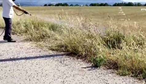Γρεβενά: Επιδρομή ακρίδων σε καλλιέργειες