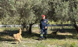 Τρίτη μέρα ερευνών για την 43χρονη Ελευθερία – Τι ερευνούν οι Αρχές μετά την αυτοχειρία του πρώην συντρόφου της