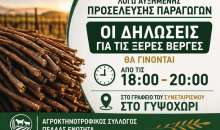 Πέλλα:  Κάλεσμα για καταγραφή των ζημιών σε ροδακινιές και βερικοκιές (Ξερές βέργες)