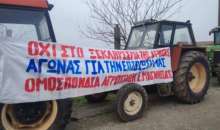 Μαγνησία: Κάλεσμα της Ομοσπονδίας Αγροτικών Συλλόγων σε ανοιχτές συνελεύσεις αγροτών και κτηνοτρόφων