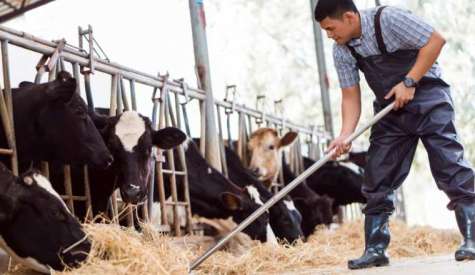 Υποτροφία για σπουδές στην ΙΣΑΕΚ