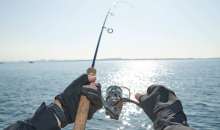 Απαγόρευση Αλιείας στα εσωτερικά ύδατα της Π.Ε. Ημαθίας για το Έτος 2026